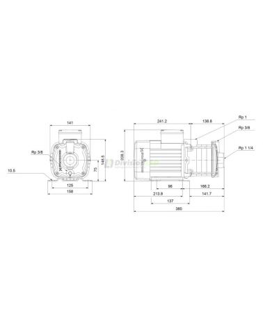 GRUNDFOS 96806813 Bomba CM-5-5A centrífuga horizontal 1x230V 1.61HP 1-1 1/4