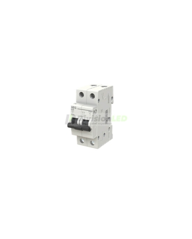 AEG EV62C25 Interruptor magnetotérmico EV60 2P 25A C 6kA 2CDS252090R0254