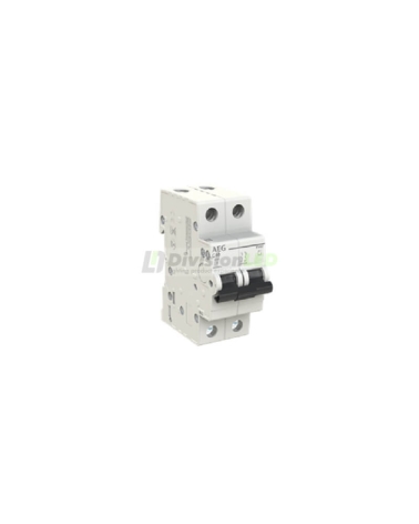 AEG EV62C40 Interruptor magnetotérmico EV60 2P 40A C 6kA 2CDS252090R0404