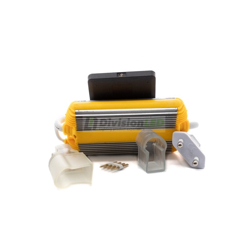 Controlador Neón LED RGB 220V con mando - ¡en 360°! - DivisionLED