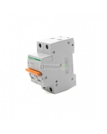 Schneider Domae 12513 Interruptor magnetotérmico 1P+N 40A C 6kA