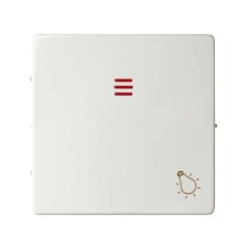 Simon 82016-30 Tecla individual con visor y grabado luz blanco