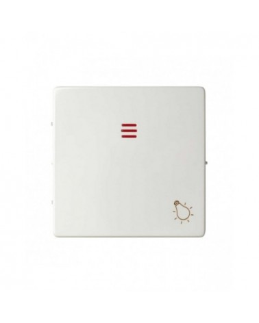 Simon 82016-30 Tecla individual con visor y grabado luz blanco