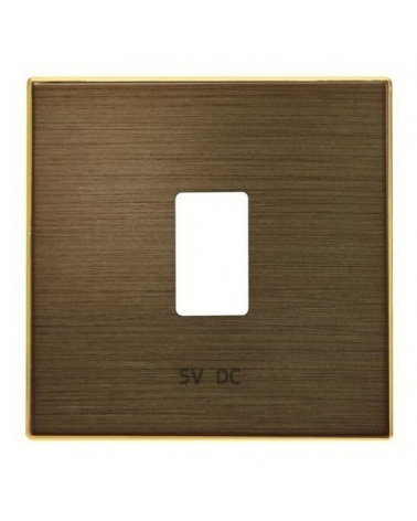 NIESSEN SKY 8585.2 OE Tapa cargador USB simple oro envejecido