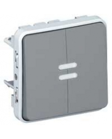 LEGRAND 069526 plexo-conmutador doble luminoso 10a gris