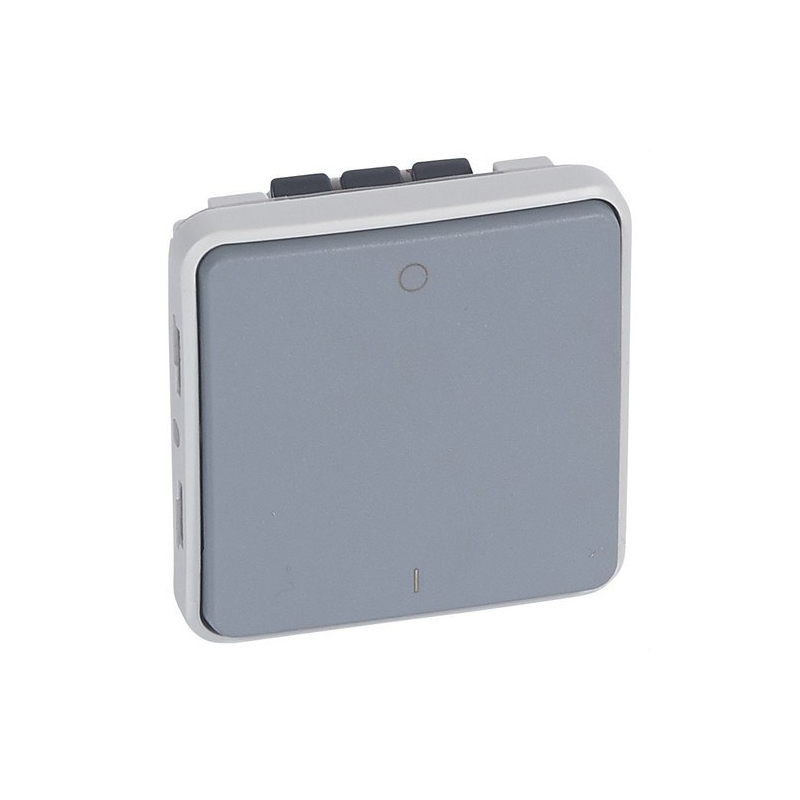 LEGRAND 069527 plexo-interruptor 2p 16a gris