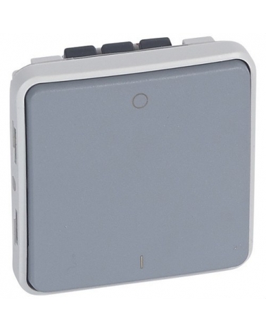 LEGRAND 069527 plexo-interruptor 2p 16a gris