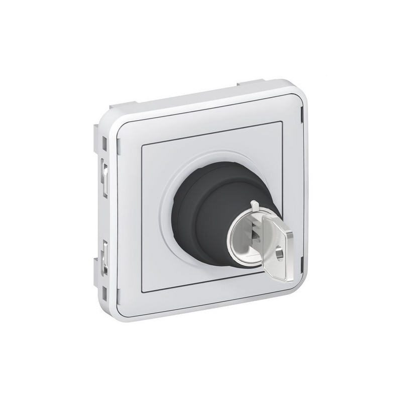 LEGRAND 069534 plexo-interruptor llave 2 posiciones gris