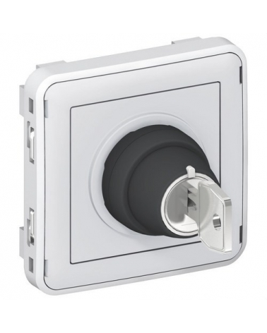 LEGRAND 069534 plexo-interruptor llave 2 posiciones gris