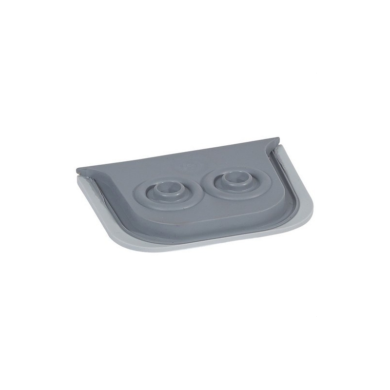 LEGRAND 069599 plexo-membrana 2 salidas gris