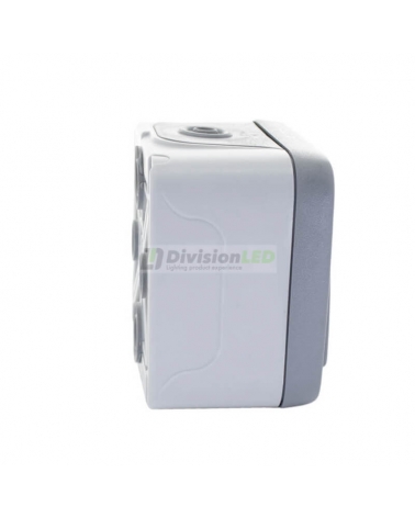 LEGRAND 069712 plexo-monoblock superficie conmutador piloto 1P 10A gris