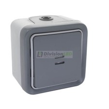 LEGRAND 069722 plexo-monoblock superficie pulsador luminoso 1P 10A gris