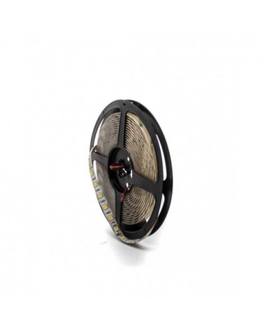 Tira LED 12V DC RGB IP20 - ¡descúbrela en 360°! - DivisionLED